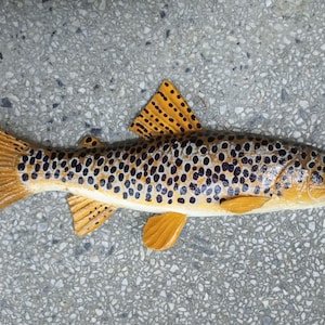 Brown trout taxidermy - Etsy 日本