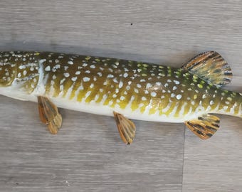 Esox lucius | EsoxOnly | Everything about Esox Fishing!