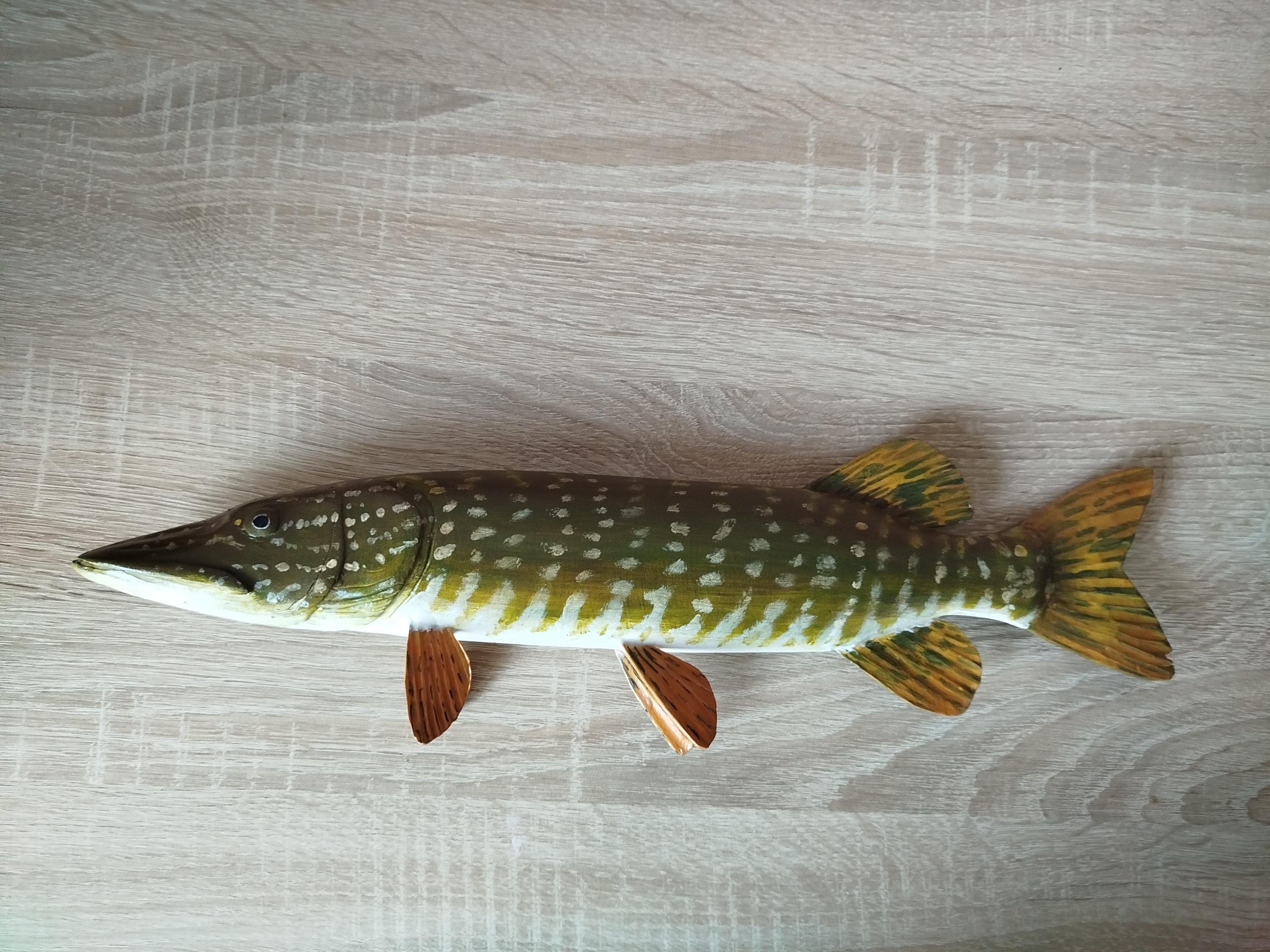 Esox Lucius - Etsy Esox Lucius - Etsy