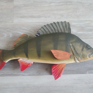 European perch, Perca fluviatilis, 11-15 inches 3D wooden fish, both sides hand carved and painted, perch, common perch, redfin perch image 4