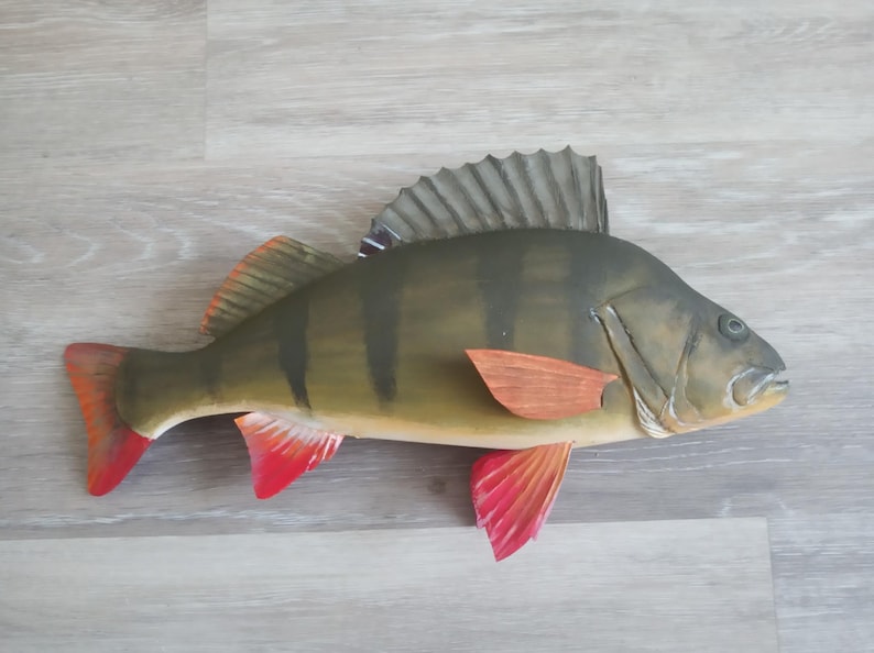 European perch, Perca fluviatilis, 11-15 inches 3D wooden fish, both sides hand carved and painted, perch, common perch, redfin perch image 4