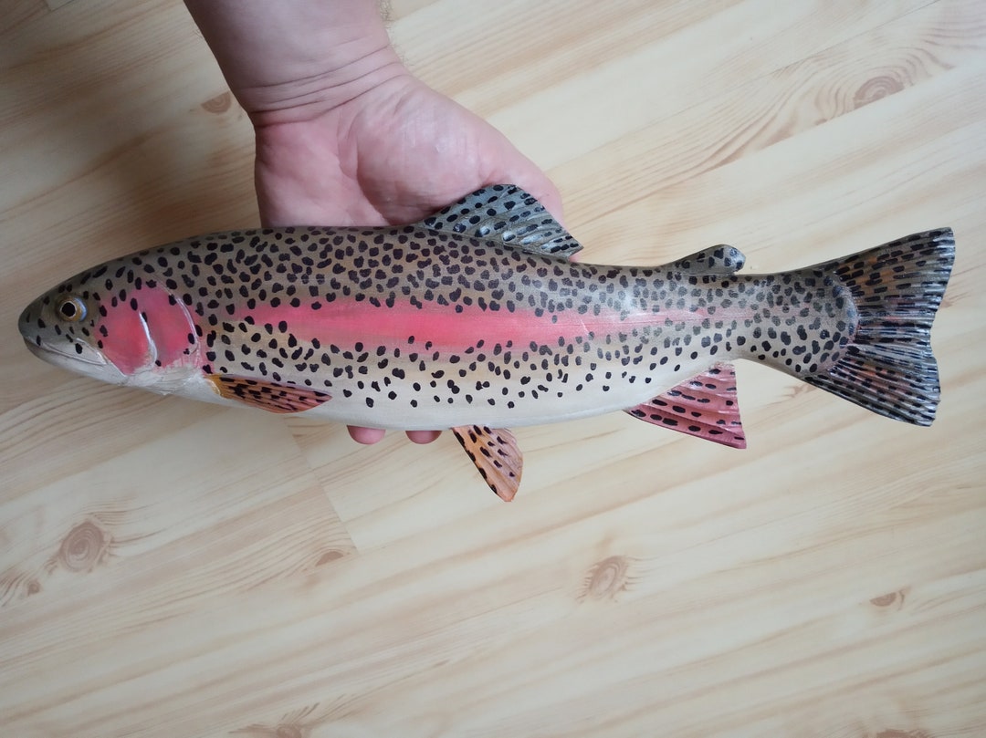 Rainbow Trout, Oncorhynchus Mykiss, Steelhead,16-20 Inches 3D Wall ...