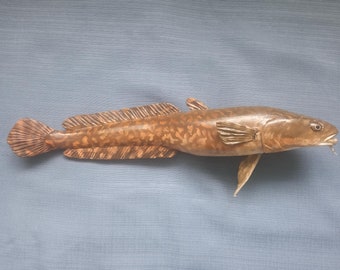 Burbot, Lota lota, Freshwater cod, 11-15 inch 3D wall wooden fish, carved and painted on one side, wood carving, fish carving