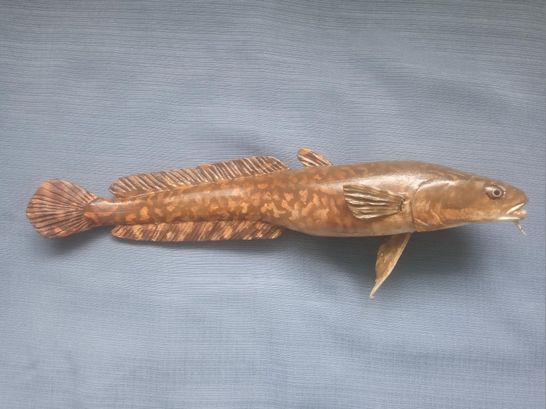 Burbot, Lota lota, Freshwater cod, 11-15 inch 3D wall wooden fish, carved and painted on one side, wood carving, fish carving image 1