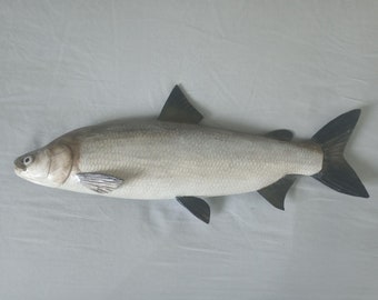 Humpback whitefish, Coregonus pidschian, 16-20 inches 3D wall wooden fish, one side hand carved and painted, fishing trophy, fish carving