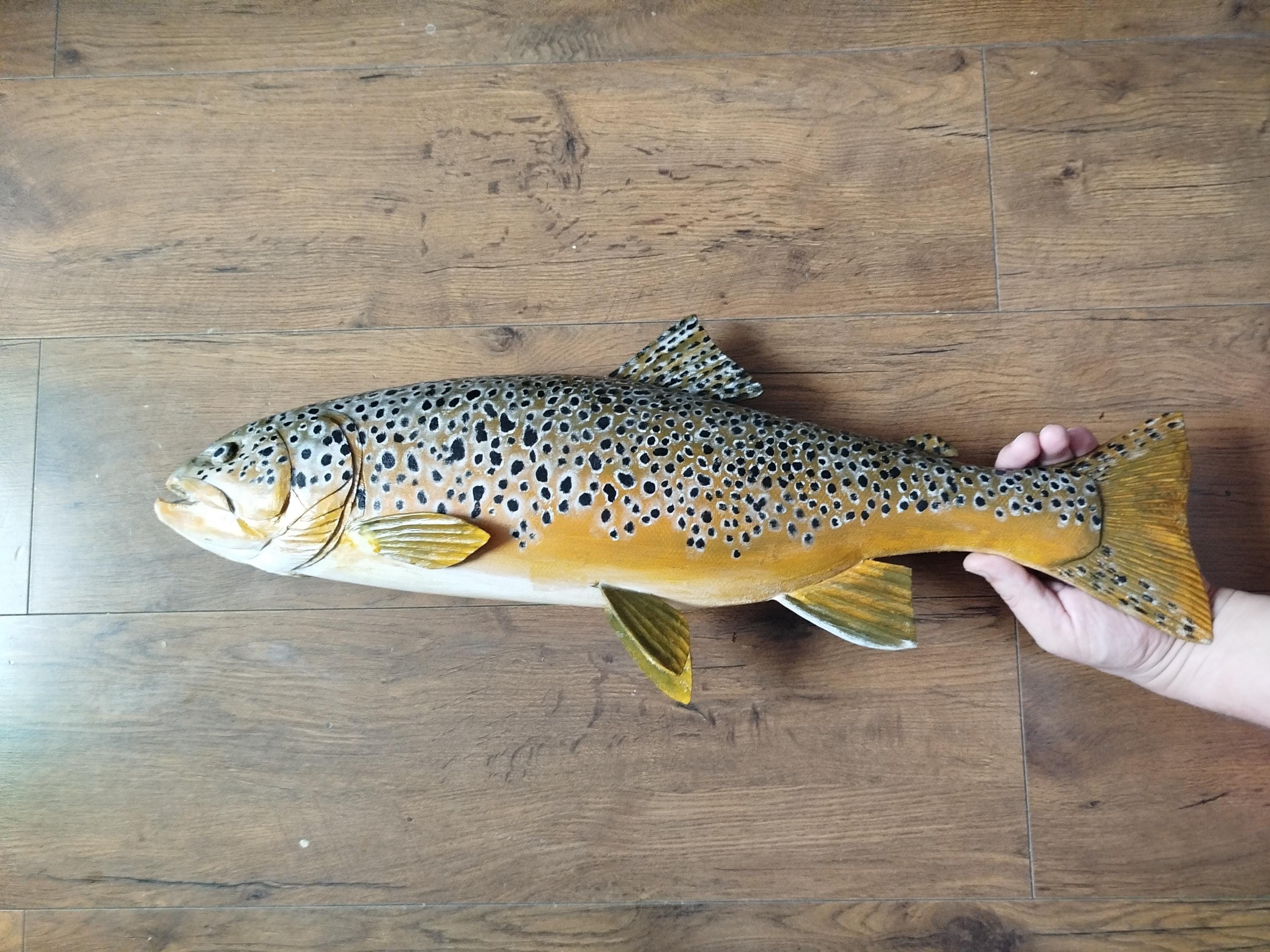 Brown trout taxidermy - Etsy 日本