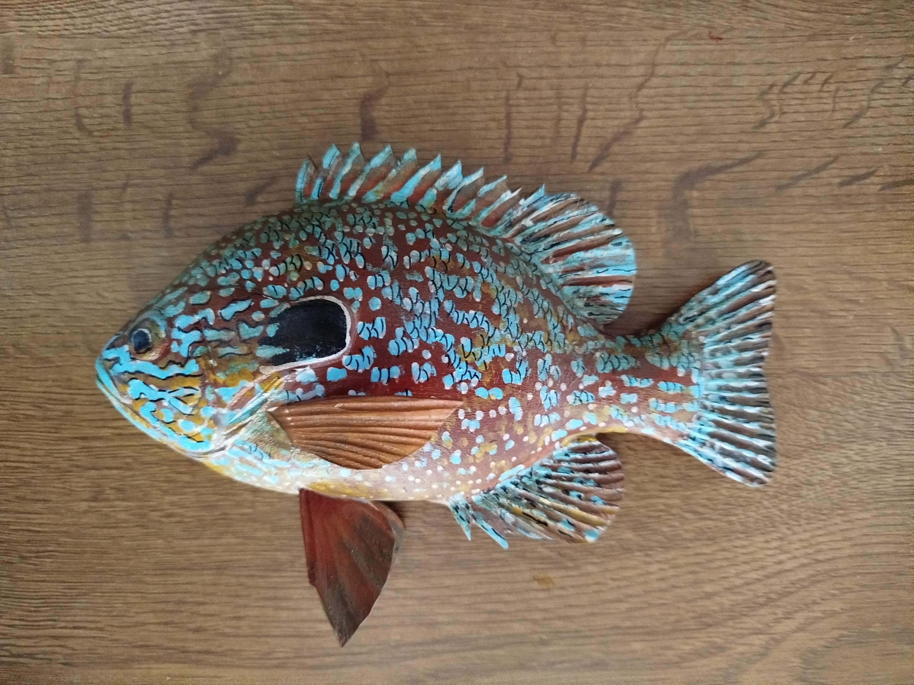Longear Sunfish, Lepomis Megalotis, 5-10 Inches 3D Wooden Fish