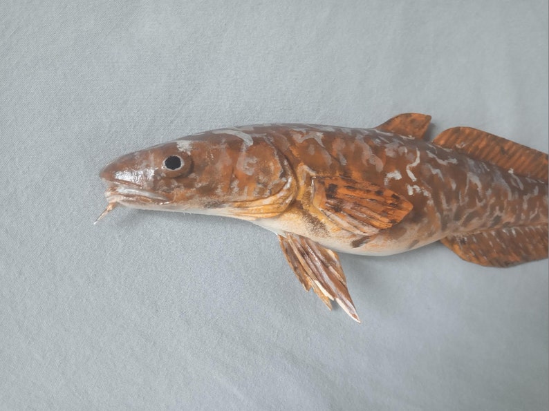 Burbot, Lota lota, Freshwater cod, 11-15 inch 3D wall wooden fish, carved and painted on one side, wood carving, fish carving image 9