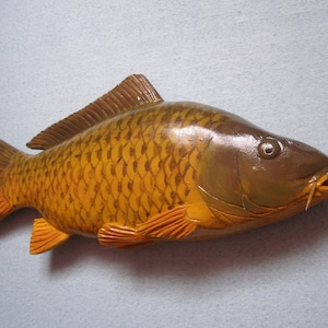 Carpe écailleuse, carpe commune, Cyprinus carpio, poisson en bois 3D de 16 à 20 pouces, les deux côtés sculptés et peints à la main, sculpture de poisson, trophée de pêche
