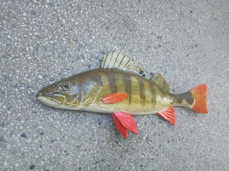 European perch, Perca fluviatilis, 11-15 inches 3D wooden fish, both sides hand carved and painted, perch, common perch, redfin perch 12 inch