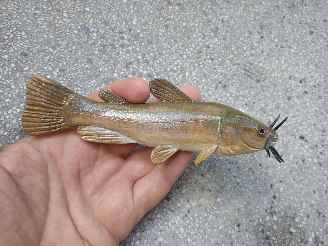 Brown Bullhead, Ameiurus Nebulosus, Brown Catfish,6-10 Inches 3D Wooden ...