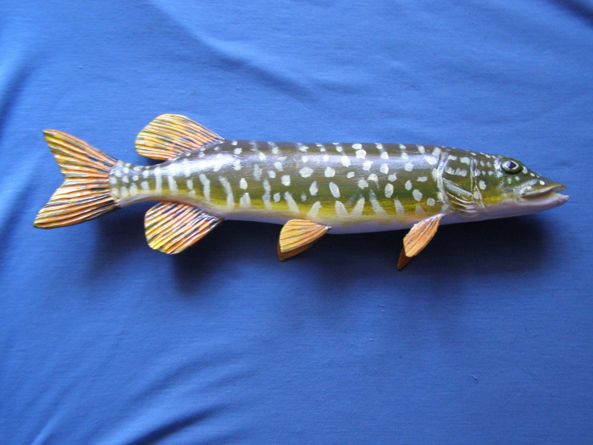 Northern Pike, Esox Lucius, Pike, 11-15 Inches 3D Wall Wooden Fish