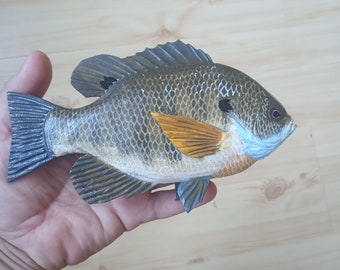 Male Bluegill, Lepomis macrochirus, 5-10 inches 3D wall wooden fish, one side hand carved and painted, fishing trophy, fish carving