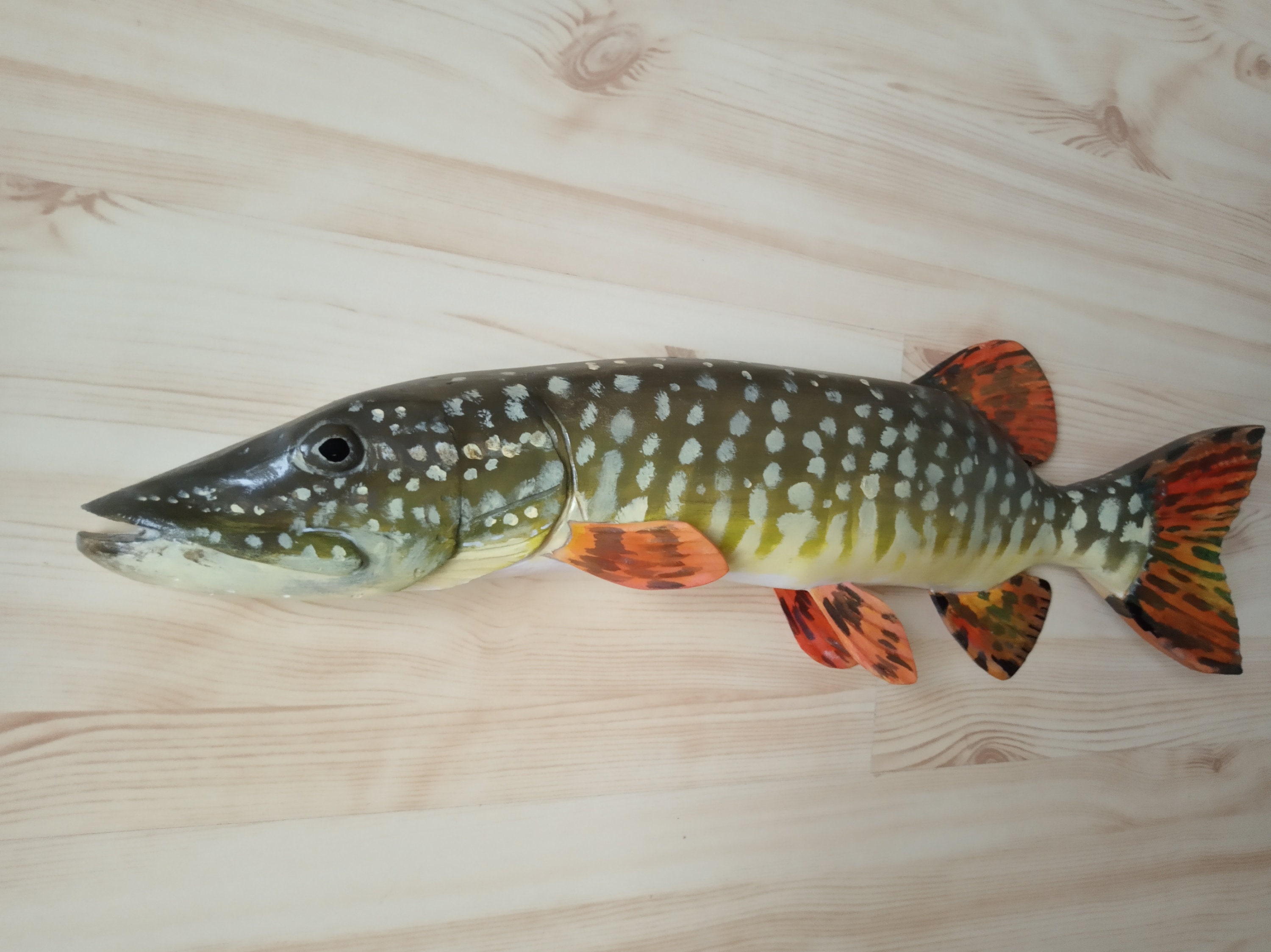 Northern Pike, Esox Lucius, Pike, 16-20 Inches 3D Wooden Fish