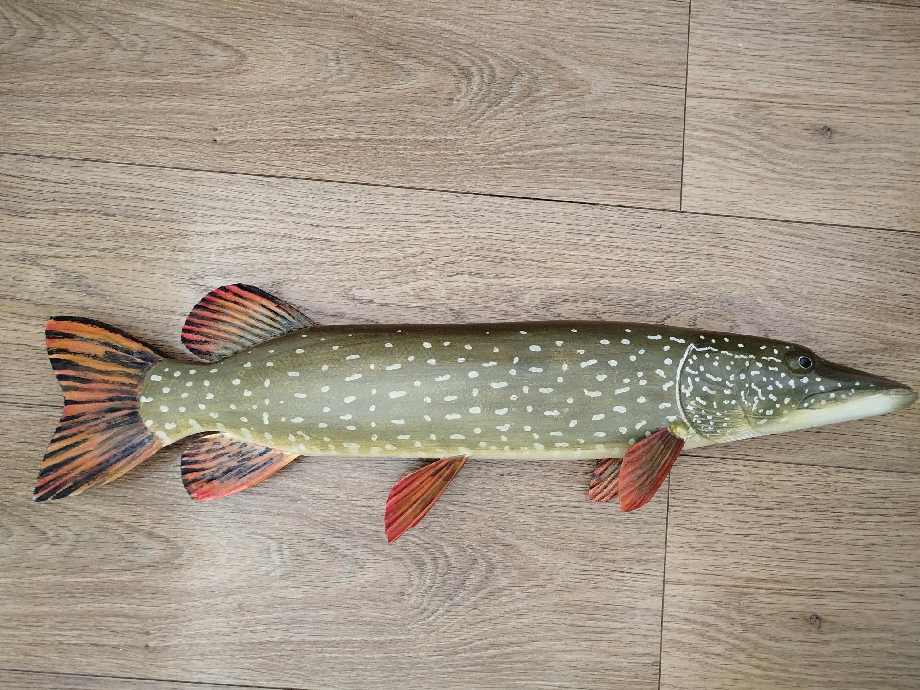 □美術品□Blue・ Esox Lucius□２３cm◇ Copen◇ Northern Pike, Esox Lucius, Pike, 21-25 Inches 3D Wooden