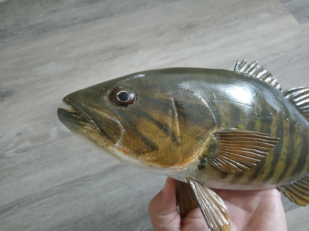 Smallmouth Bass, Micropterus Dolomieu, 1620 Inches 3D Wooden Fish