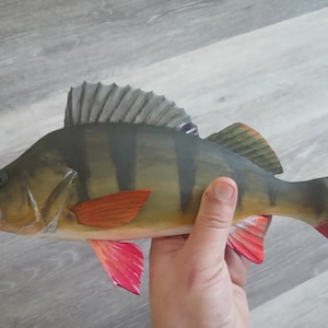 European perch, Perca fluviatilis, 11-15 inches 3D wooden fish, both sides hand carved and painted, perch, common perch, redfin perch 14 inch