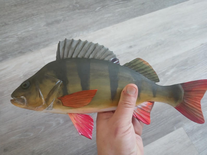 European perch, Perca fluviatilis, 11-15 inches 3D wooden fish, both sides hand carved and painted, perch, common perch, redfin perch 14 inch