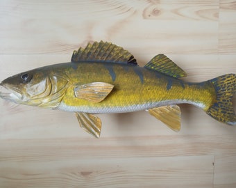 Walleye, Sander vitreus, yellow walleye, 16-20 inch 3D wall wooden fish, carved and painted on one side, wood carving, fish carving