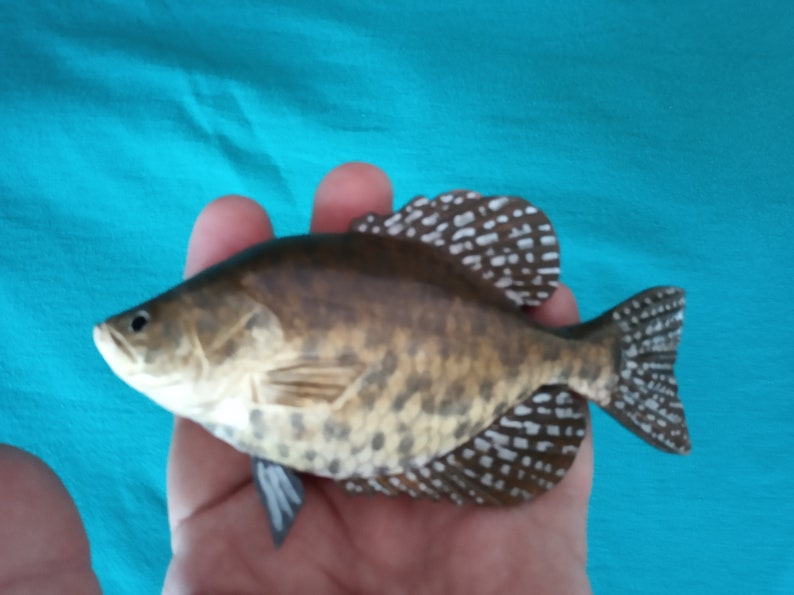 Black crappie, Pomoxis nigromaculatus, 5-10 inches 3D wooden fish, both sides hand carved and painted, fishing trophy, fish carving image 2