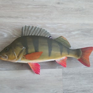 European perch, Perca fluviatilis, 11-15 inches 3D wooden fish, both sides hand carved and painted, perch, common perch, redfin perch image 6