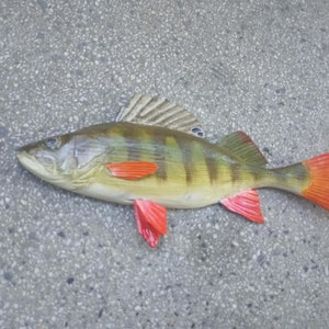 European perch, Perca fluviatilis, 11-15 inches 3D wooden fish, both sides hand carved and painted, perch, common perch, redfin perch 11 inch