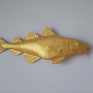 Northern Pike, Esox Lucius, Pike, 31-35 Inches 3D Wall Northern Pike, Esox Lucius, Pike, 31-35 Inches 3D Wall