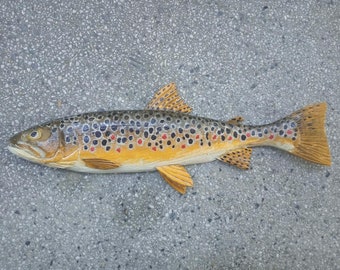 Brown trout, Salmo trutta, river trout, 11-15 inches 3D wall wooden fish, one side hand carved and painted, fishing trophy, fish carving