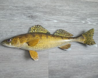 Walleye, Sander vitreus, yellow walleye, 11-15 inch 3D wall wooden fish, carved and painted on one side, wood carving, fish carving