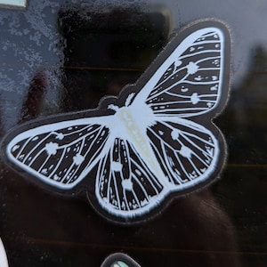 White Moth vinyl sticker with clear background