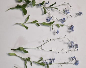 Real Dried 3D Forget-Me-Nots with Stem – 10 Pieces | Natural Flowers for Epoxy Resin, DIY, Resin Art, Decoration, Wedding
