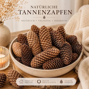 Große fichtenzapfen