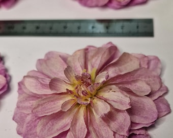 Dalia morada 3D auténtica – aprox. 10 cm | Flor natural seca | Arte con resina, resina epoxi, bricolaje y decoración