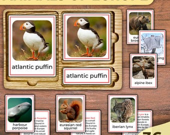 Könnte beinhalten: Eine farbenfrohe Lerntafel mit 36 Tieren aus Europa. Die Tafel zeigt Bilder von Tieren wie dem Atlantikpapageientaucher, dem eurasischen Eichhörnchen, dem Iberischen Luchs und dem Steinbock. Die Tafel ist für Kinder konzipiert, um verschiedene Tiere zu lernen, die in Europa vorkommen.