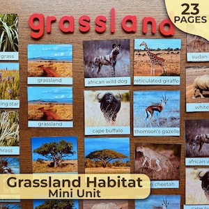 Grasland-Lebensraum-Einheitsstudie, Grasland-Biome, Grasland-Tiere, Grasland-Pflanzen, Montessori-Einheit, Naturstudie, Homeschooling, Montessori-Natur