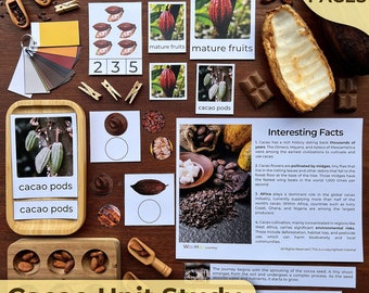 Kakao-Einheit Lernkakao Homeschooling-Einheit Kakaobaum-Lebenszyklus Kakaokakao-Schotenanatomie Schokoladen-Einheit Lernstudie für Kinder