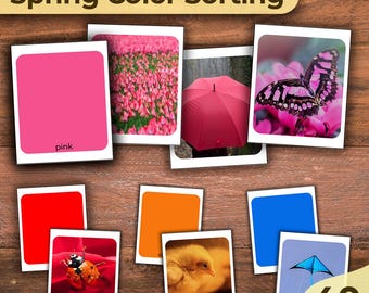 Könnte beinhalten: Ein Set mit 40 Farbsortierkarten mit Frühlingsmotiven. Die Karten zeigen ein rosa Blumenfeld, einen roten Regenschirm, einen rosa Schmetterling, einen roten Marienkäfer, ein gelbes Küken, eine orange Blume, einen blauen Drachen und eine rote Farbkarte mit der Aufschrift "rosa".