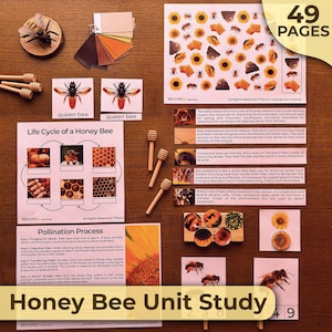Honey Bee Unit Study Honey Bee Anatomie Honey Bee Levenscyclus Honey Bee Natuurstudie Honey Bee Afdrukbare Honey Bee Unit Homeschooling Honeybee