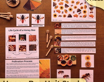 Honey Bee Unit Study Honey Bee Anatomy Honey Bee Life Cycle Honey Bee Nature Study Honey Bee Printable Honey Bee Unit Homeschooling Honeybee