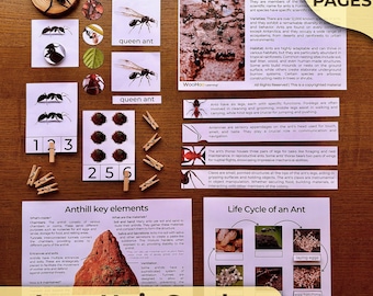 Ants Unit Study Ants Life Cycle Ants Anatomy Ant Unit Study for Kids Ant Montessori Unit Ant Nature Study Ants Homeschooling Parts of an Ant