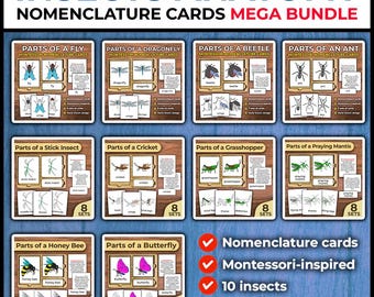 Insect Activities Insect Anatomy Insect Parts of an Insect Montessori Activity Insect Montessori Cards Insects 3 Part Cards Labeled Insects