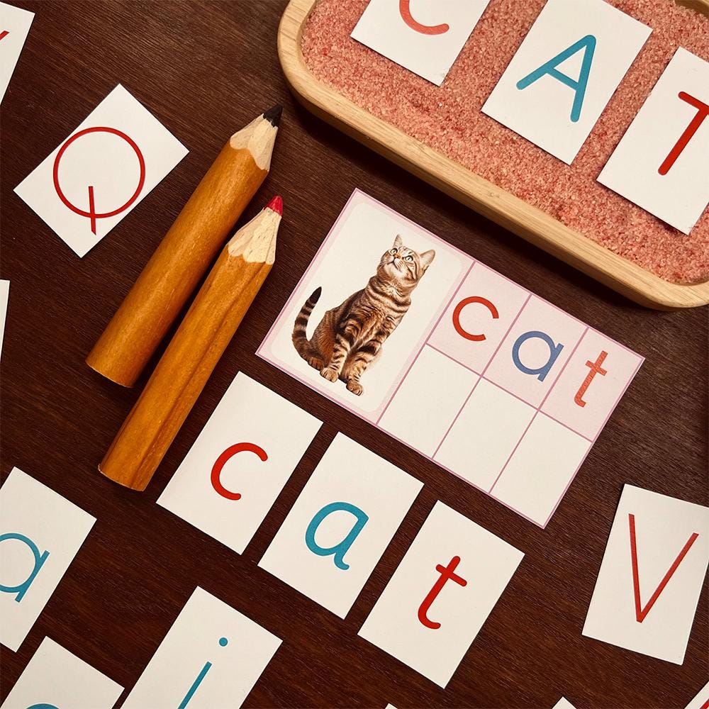 Montessori Movable Alphabet Printable Alphabet Digital Alphabet