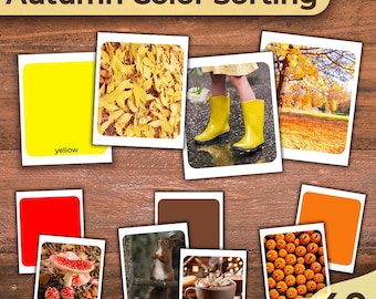 Farbsortierung Kleinkind Aktivität Herbst Farbsortierung Herbst Farbsortierung Farbabstimmung Herbst druckbare Farbaktivität für Kind