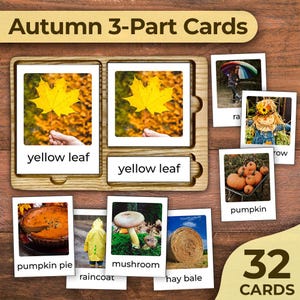 Tarjetas de vocabulario de otoño Vocabulario de la estación de otoño Tarjetas de 3 partes de otoño Tarjetas de 3 partes de otoño Tarjetas de nomenclatura de otoño Tarjetas Montessori de otoño imprimibles