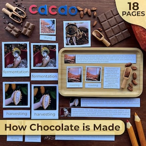 May include: A colourful infographic illustrating the steps involved in making chocolate, from harvesting cacao beans to drying and roasting them. The infographic includes images of each step and text describing the process. The text "How Chocolate is Made" is featured in a large font at the bottom of the infographic.