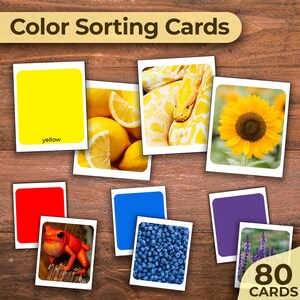 May include: Color sorting cards with 80 cards. The cards feature different colors and images, including yellow lemons, a yellow snake, a yellow sunflower, red, blue, purple, and a red frog.