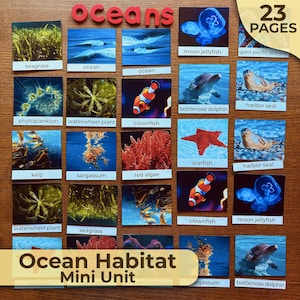 Ocean Habitat Unit Study Ocean Biome Unit All About Oceans Montessori Unit Nature Study Homeschooling Ocean Activities All About the Ocean
