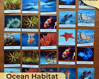 Ocean Habitat-Einheit Studie Ocean Biome-Einheit Alles über Ozeane Montessori-Einheit Naturstudie Homeschooling Ocean-Aktivitäten Alles über den Ozean
