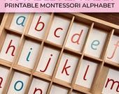 Montessori Movable Alphabet Printable Alphabet Digital Alphabet Montessori Alphabet Montessori Pink Series