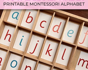 Montessori Movable Alphabet Printable Alphabet Digital Alphabet Montessori Alphabet Montessori Pink Series